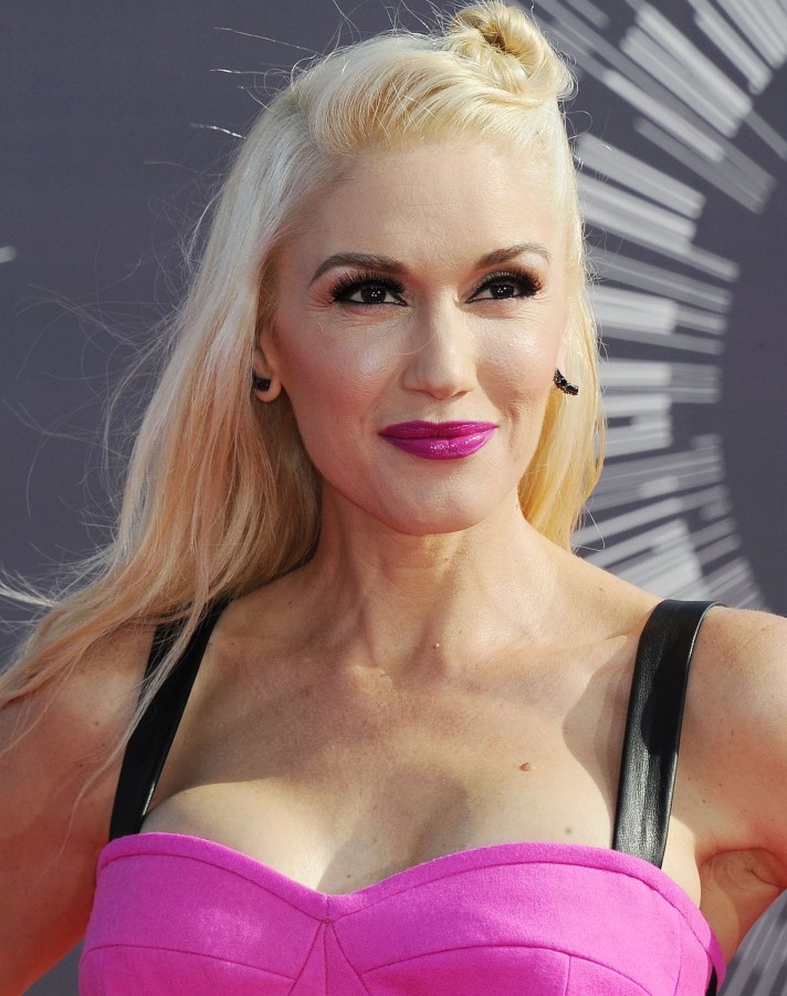 Gwen Stefani Boob Flash 111