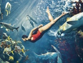 Rihanna plastic surgery  3 swimming with sharks