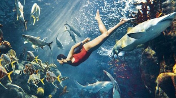 Rihanna plastic surgery  3 swimming with sharks