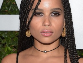 Zoë Isabella Kravitz plastic surgery 27