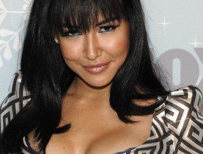 Naya Rivera breast augmentation 114