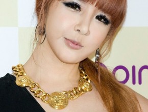 Park Bom plastic surgery face