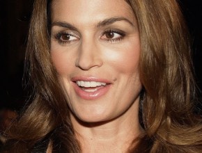 Cindy Crawford after plastic surgery 04