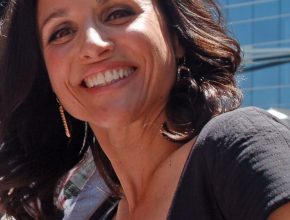 Julia Louis-Dreyfus plastic surgery (14)