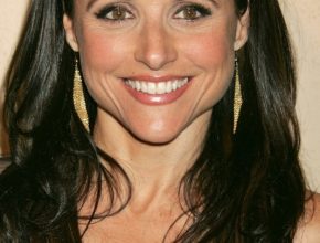 Julia Louis-Dreyfus plastic surgery (2)