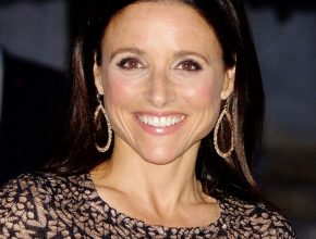 Julia Louis-Dreyfus plastic surgery (4)