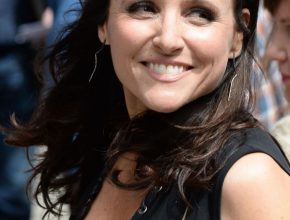 Julia Louis-Dreyfus plastic surgery (9)