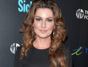 Shania Twain plastic surgery (6)