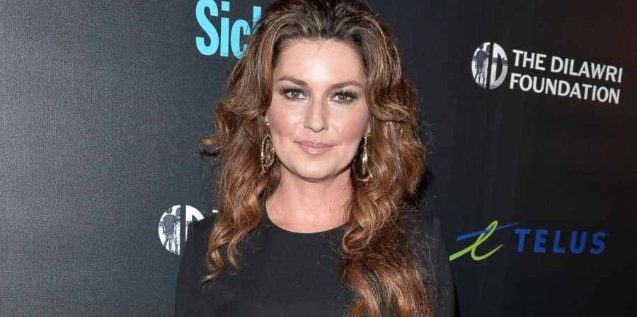 Shania Twain plastic surgery (6) .