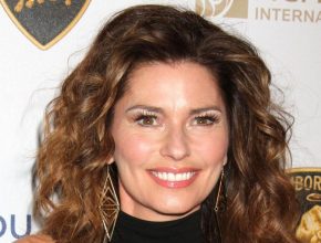 Shania Twain plastic surgery (7)