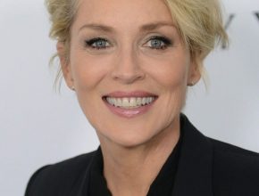 Sharon Stone plastic surgery