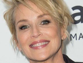 Sharon Stone after plastic surgery (40)