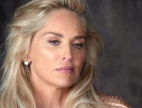 Sharon Stone plastic surgery (10)