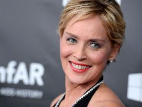 Sharon Stone plastic surgery (18)