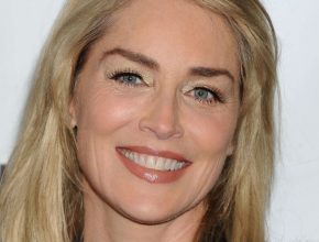 Sharon Stone plastic surgery (25)