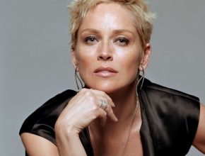 Sharon Stone plastic surgery (3)