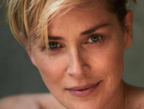 Sharon Stone plastic surgery (31)