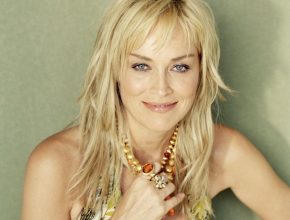 Sharon Stone plastic surgery (4)