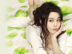Fan Bingbing plastic surgery 26