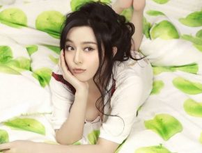 Fan Bingbing plastic surgery 30