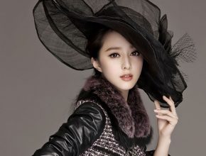 Fan Bingbing plastic surgery 5