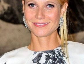 Gwyneth Paltrow plastic surgery 22