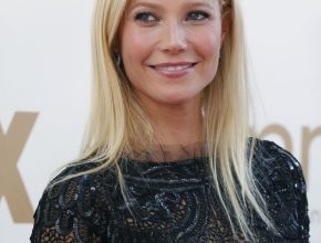 Gwyneth Paltrow plastic surgery 24