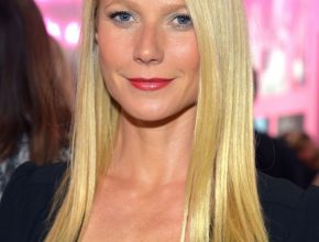 Gwyneth Paltrow plastic surgery 27