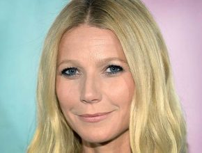 Gwyneth Paltrow plastic surgery 29