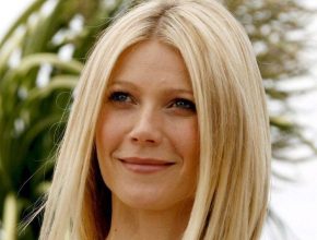 Gwyneth Paltrow plastic surgery 38