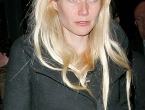 Gwyneth Paltrow plastic surgery 47