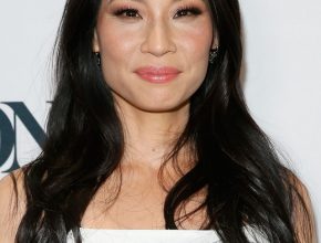 Lucy Liu plastic surgery 36