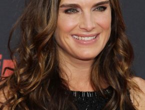 Brooke Shields plastic surgery 31