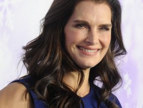 Brooke Shields plastic surgery 32