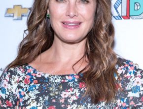 Brooke Shields plastic surgery 41