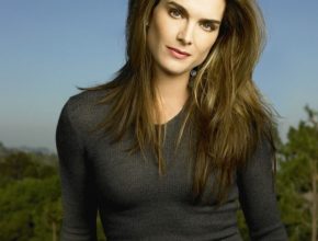 Brooke Shields plastic surgery 42