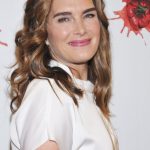 Brooke Shields plastic surgery 5