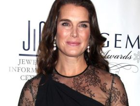 Brooke Shields plastic surgery 6