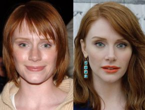 Bryce Dallas Howard before and after plastic surgery 15