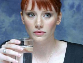 Bryce Dallas Howard plastic surgery 23