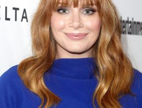 Bryce Dallas Howard plastic surgery 27
