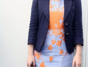 Bryce Dallas Howard plastic surgery 30