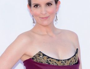 Tina Fey plastic surgery 15