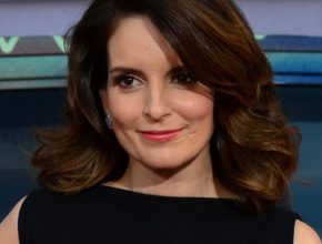 Tina Fey plastic surgery 27