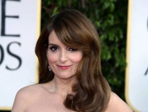 Tina Fey plastic surgery 5