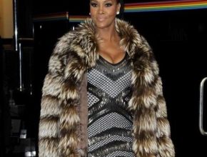 Vivica A Fox plastic surgery 11