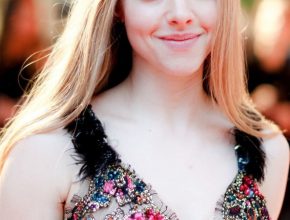 Amanda Seyfried plastic surgery (11)