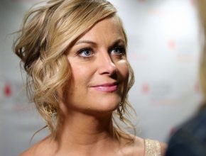 Amy Poehler plastic surgery (12)