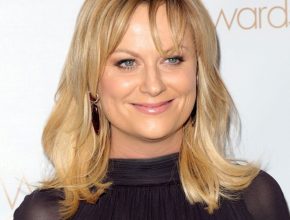 Amy Poehler plastic surgery (14)