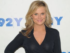 Amy Poehler plastic surgery (20)